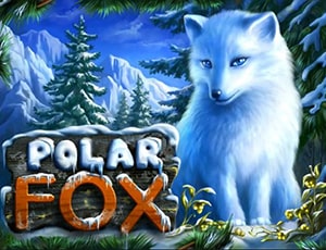 polar fox